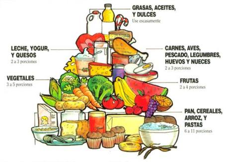 piramide-nutricional